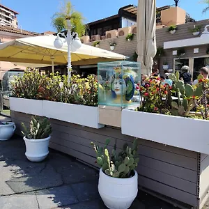La Casa Di Rinaldo , Aeroporto di Catania Fontana Rossa Italia